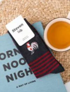 Pánské ponožky FOLK 118