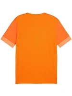 Puma teamGoal Matchday Jersey M 705747 08 pánské