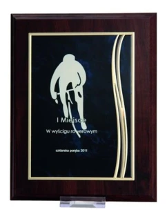 Plastový diplom s vyrytou kovovou destičkou