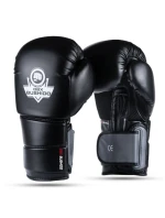 Boxerské rukavice 10oz - Eclipse - Origin Series