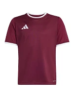 Dětský dres adidas Entrada 26 Jersey bordó JZ2530