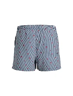 Jack&Jones pánské plavky JWHARUBA SWIM PRINTS SHORTS 12206537 NAVY BLAZER STRIPES Jack&Jones pánské plavky JWHARUBA SWIM PRINTS SHORTS 12206537 NAVY BLAZER STRIPES