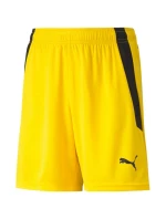 Puma teamLIGA Shorts Jr 704931 07