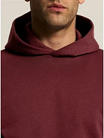 Craft Corporate Community 2.0 Hoodie M Pánská mikina s kapucí 81.5327 plaster Craft Corporate Community 2.0 Hoodie M Pánská mikina s kapucí 81.5327 plaster