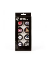 Inglasco NHL Mini Pucks suvenýr