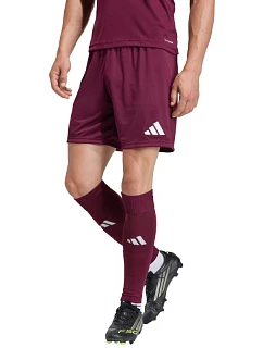 Pánské šortky adidas Entrada 26 bordó JZ2514