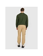 Pánské volnočasové kalhoty 4F 4FRAW25TTROM1690-83S