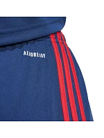 Šortky adidas Squadra 25 M JH3408