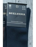 WiK Soxlandia 043 Cashmere 16 ponožek 39-46