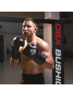 Boxerské rukavice 10oz - Eclipse - Origin Series