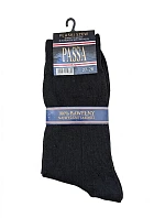 Pánské ponožky Regina Socks Passa