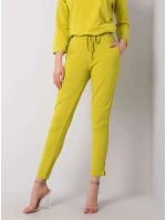 Tepláky RV DR 5222.59 světle zelená