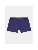 Boxerky 4F M 4FWMM00UBXSM051-31S Boxerky 4F M 4FWMM00UBXSM051-31S