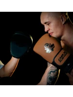 Vícevrstvé kožené boxerské rukavice - SOVEREIGN - Legacy Series | DBX Bushido Vícevrstvé kožené boxerské rukavice - SOVEREIGN - Legacy Series | DBX Bushido