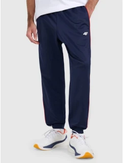 Pánské tepláky typu jogger 4F 4FRAW25TTROM1611-31S