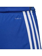 Pánské šortky Tastigo 19 M DP3682 - Adidas