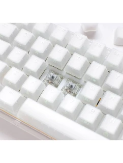 Ducky One 3 TKL Herní USB QWERTY klávesnice Anglicky White