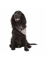 Šátek pro psy Trespass Alpha