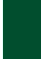 Dámský rolák Gatta 42438S Keep Hot Dámský rolák Gatta 42438S Keep Hot