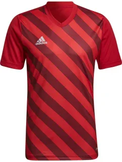 Pánský dres Entrada 22 Graphic Jersey M HB0572 - Adidas