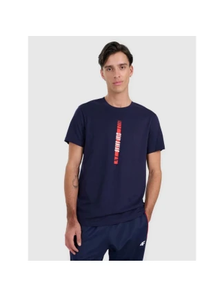 Pánské tričko s potiskem 4F 4FRAW25TTSHM3225-31S