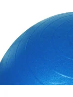 Gymnastický míč Profit 65 cm s pumpičkou DK 2102 Gymnastický míč Profit 65 cm s pumpičkou DK 2102