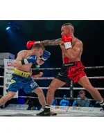 Rukavice Wolf L 8 oz 1005248OZ - Yakimasport