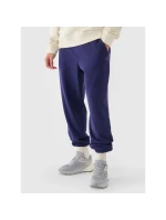 Pánské tepláky typu jogger 4F 4FWMM00TTROM1139-31S Pánské tepláky typu jogger 4F 4FWMM00TTROM1139-31S
