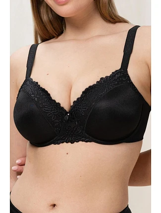 Soft model 229350 Triumph