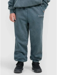 Chlapecké tepláky joggers 4F 4FJRAW25TTROM1528-46S