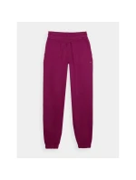 Dámské tepláky typu jogger 4F 4FWMM00TTROF1137-51S