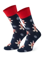 Pánské ponožky 136 169 - Steven