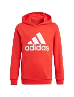 Dětská mikina Essentials Big Logo Hoodie Jr GN4037 - Adidas Dětská mikina Essentials Big Logo Hoodie Jr GN4037 - Adidas