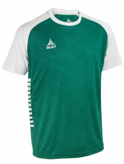 Vybrat Pisa X fotbalové tričko zeleno-bílé
