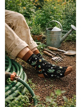 Pánské ponožky Garden 0125.141