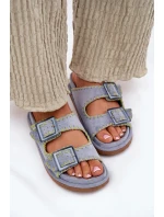 Pantofle  model 213958 Step in style