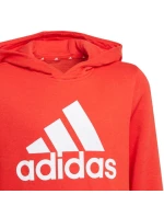 Dětská mikina Essentials Big Logo Hoodie Jr GN4037 - Adidas
