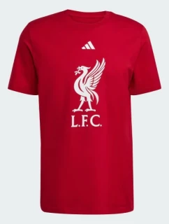 Tričko adidas Liverpool LFC DNA JW7894