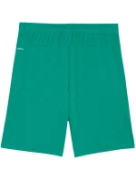 Pánské šortky Puma Team Goal zelené 705752 05