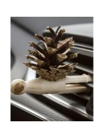 Pani Szyszka HORIZONTAL TRAVEL set 1 x Pani Szyszka + 1 směs esenciálních olejů (LP-HORIZONTAL-TRAVEL)