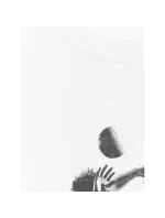 Pánské volejbalové tričko s potiskem 4F 4FRAW25TTSHM3318-10S