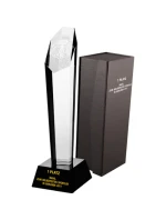 Gravírovaná skleněná trofej s pouzdrem + malířská výplň