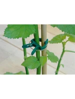 SPONKY NA ROSTLINY 20KS KINZO