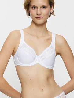 Soft model 229104 Triumph