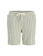 Jack&Jones pánské pruhované šortky JPSTJAIDEN COBA STRIPE JOG SHORTS REG SN 12274413 TEA/STRIPES Jack&Jones pánské pruhované šortky JPSTJAIDEN COBA STRIPE JOG SHORTS REG SN 12274413 TEA/STRIPES