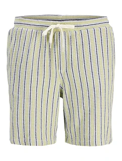 Jack&Jones pánské pruhované šortky JPSTJAIDEN COBA STRIPE JOG SHORTS REG SN 12274413 TEA/STRIPES