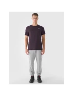 Pánské bavlněné tričko 4F 4FWSS25TTSHM3096-50S pánské