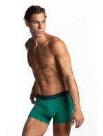 Pánské šortky M-1056SZG 2-pack