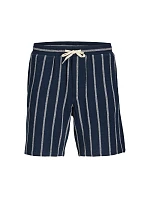 Jack&Jones pánské pruhované šortky JPSTJAIDEN COBA STRIPE JOG SHORTS REG SN SN 12274413 SKY CAPTAIN/STRIPES Jack&Jones pánské pruhované šortky JPSTJAIDEN COBA STRIPE JOG SHORTS REG SN SN 12274413 SKY CAPTAIN/STRIPES