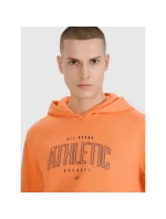 Pánská nepropínací mikina s kapucí 4F 4FRSS25TSWSM2201-70S pánská